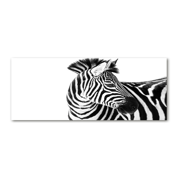 Acrylbild Fotodruck Zebra im Schnee