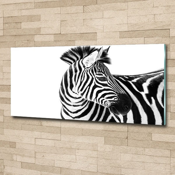 Acrylbild Fotodruck Zebra im Schnee