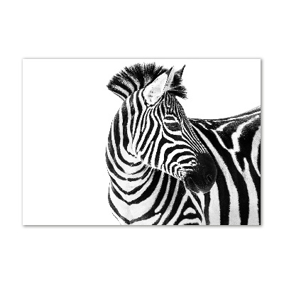 Acrylbild Fotodruck Zebra im Schnee