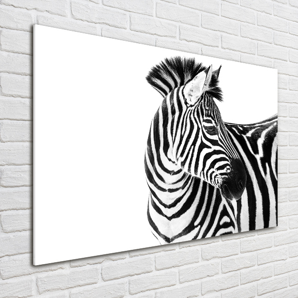 Acrylbild Fotodruck Zebra im Schnee