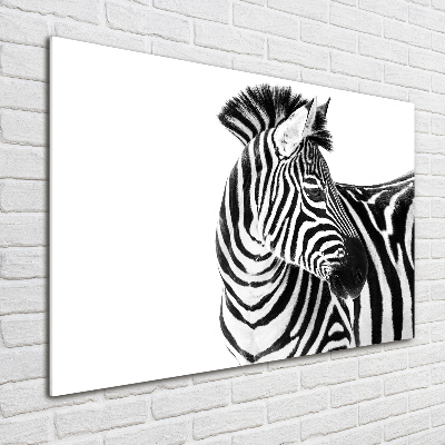 Acrylbild Fotodruck Zebra im Schnee