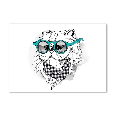 Acrylglas-Druck Katze mit Brille