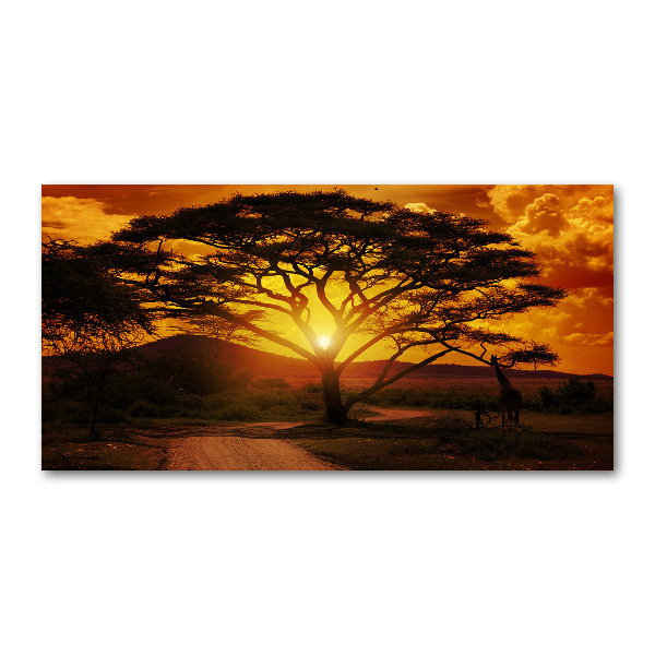 Bild auf Acrylglas Westafrika
