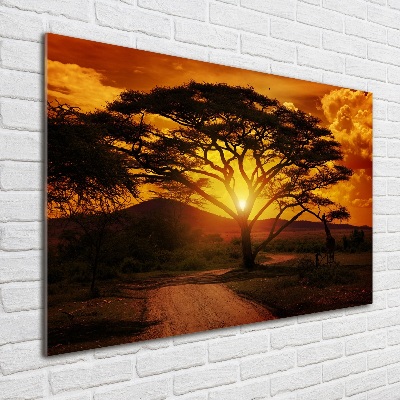 Bild auf Acrylglas Westafrika