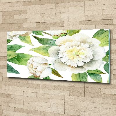 Acrylbild Fotodruck Pfingstrosen