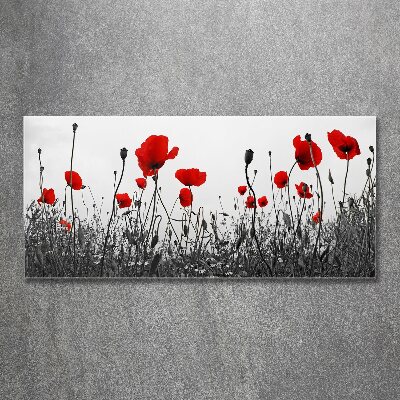 Bild auf Acrylglas Mohnblumen