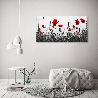 Bild auf Acrylglas Mohnblumen