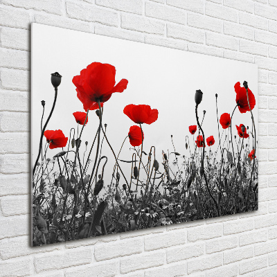 Bild auf Acrylglas Mohnblumen