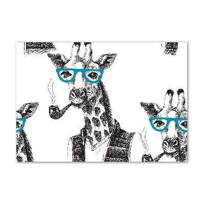 Bild auf Acrylglas Giraffe mit Brille