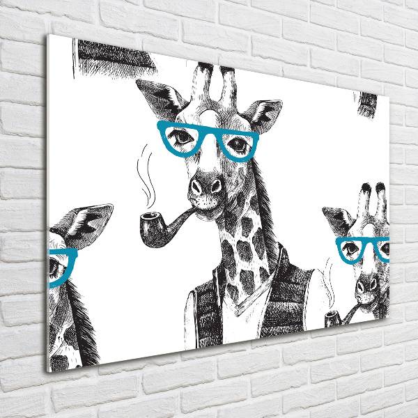 Bild auf Acrylglas Giraffe mit Brille