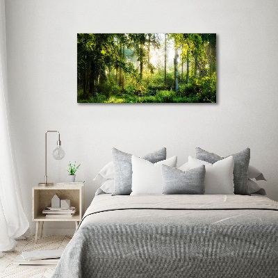 Foto auf Acryl Morgensonne Wald