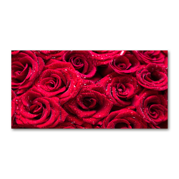 Acrylbild Fotodruck Tropfen auf Rosen