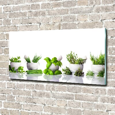 Acrylglas-Druck Kräuter