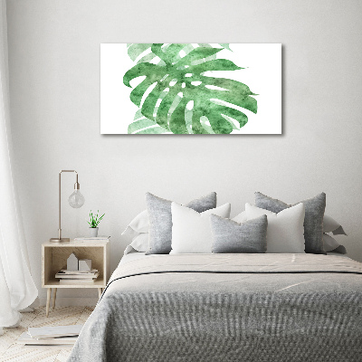 Foto auf Acryl Monstera