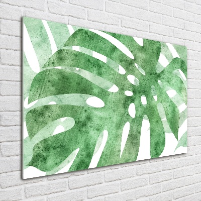 Foto auf Acryl Monstera