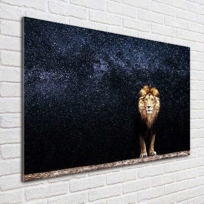 Acrylbild Fotodruck Löwe gegen die Sterne