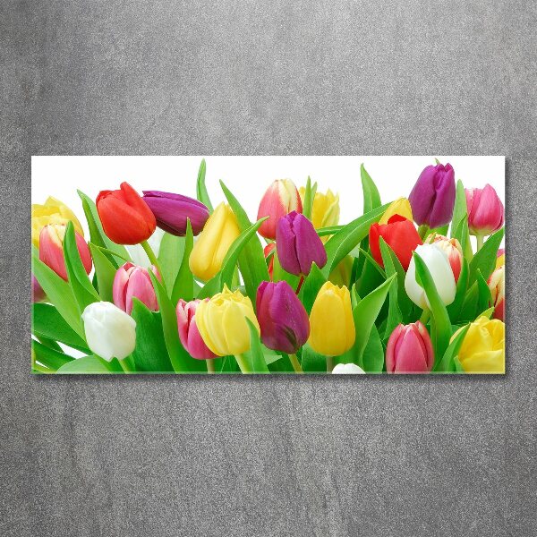 Acrylbild Fotodruck Bunte Tulpen