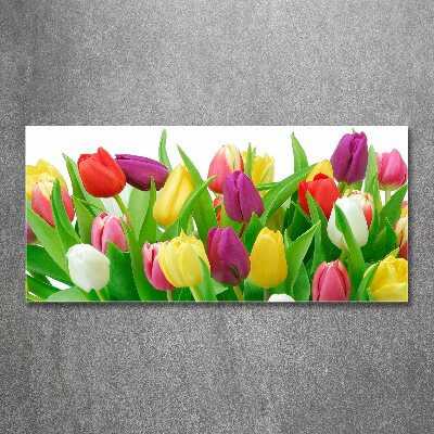 Acrylbild Fotodruck Bunte Tulpen