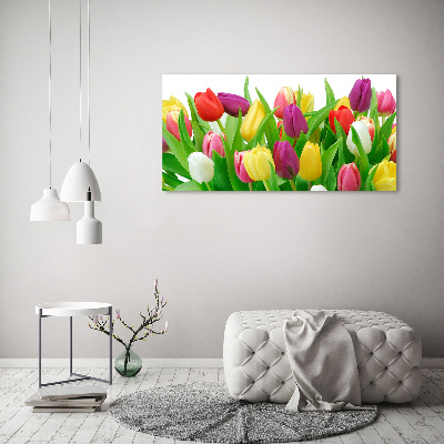 Acrylbild Fotodruck Bunte Tulpen