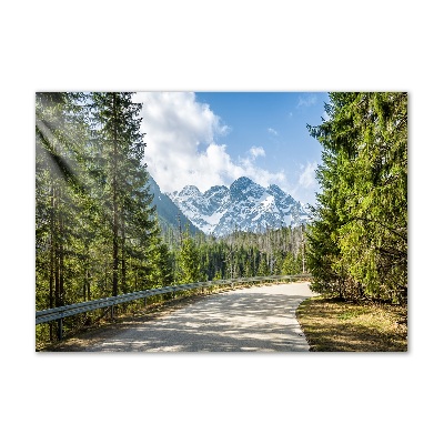 Foto auf Acryl Tatra-Gebirge-Straße