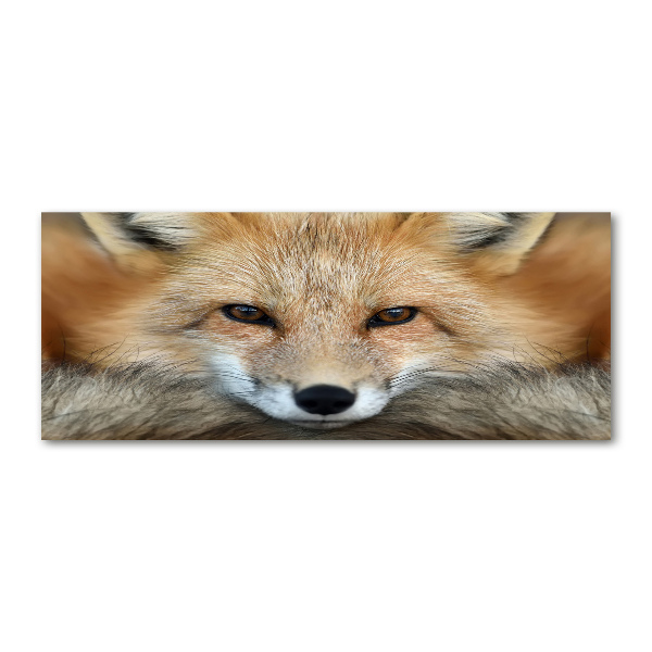 Acrylglas-Druck Fuchs