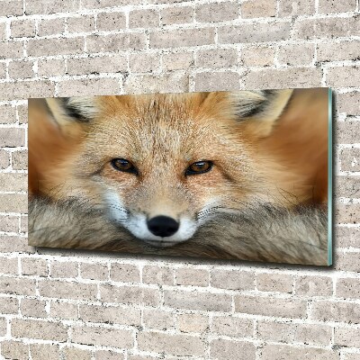 Acrylglas-Druck Fuchs