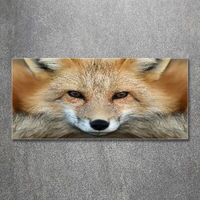 Acrylglas-Druck Fuchs