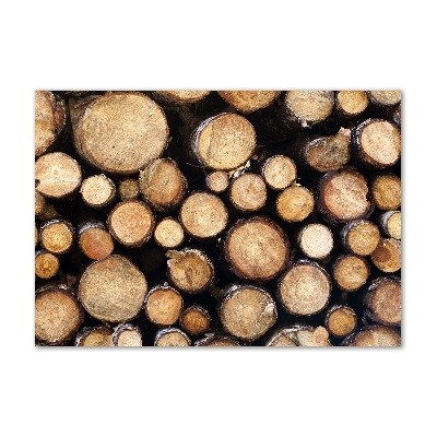 Foto auf Acryl Holzstämme