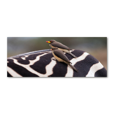Foto auf Acryl Vögel und Zebras