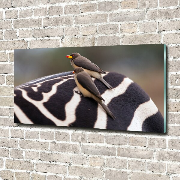 Foto auf Acryl Vögel und Zebras