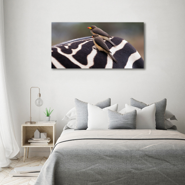 Foto auf Acryl Vögel und Zebras