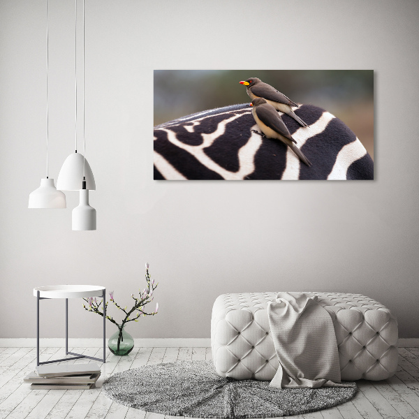 Foto auf Acryl Vögel und Zebras