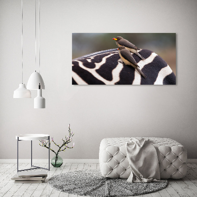 Foto auf Acryl Vögel und Zebras