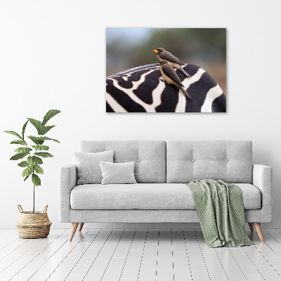 Foto auf Acryl Vögel und Zebras