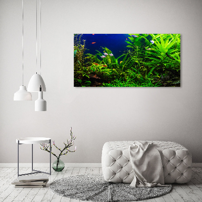 Acrylbild Fotodruck Fische im Aquarium