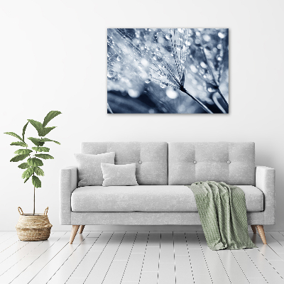 Acrylbild Fotodruck Löwenzahnsamen