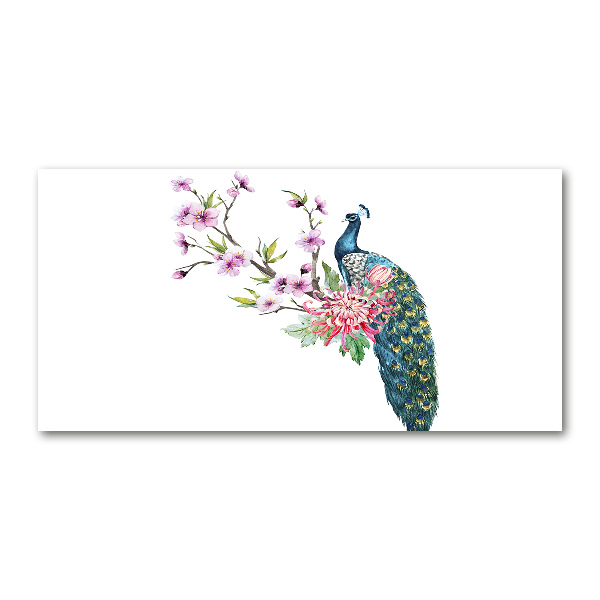 Bild auf Acrylglas Pfau und Blumen