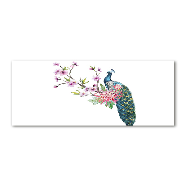 Bild auf Acrylglas Pfau und Blumen