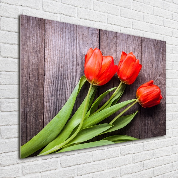 Acrylbild Fotodruck Rote Tulpen
