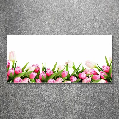 Acrylglas-Druck Rosa Tulpen