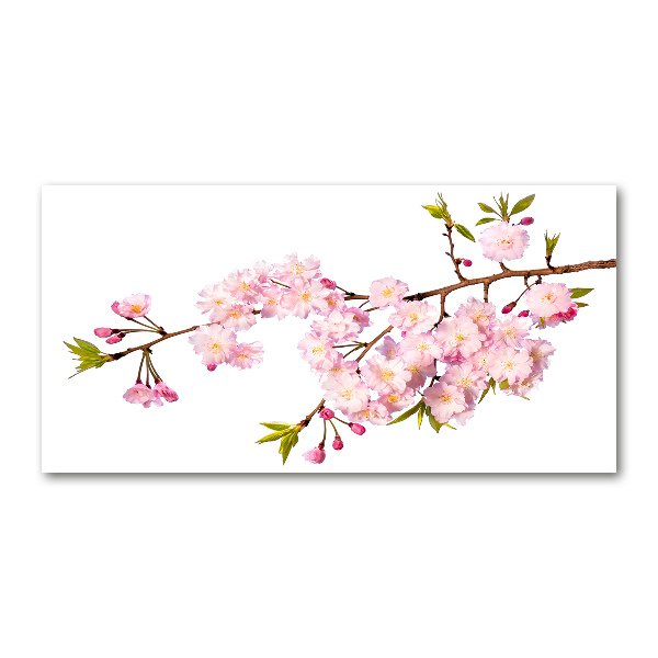 Foto auf Acryl Dornen