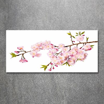 Foto auf Acryl Dornen