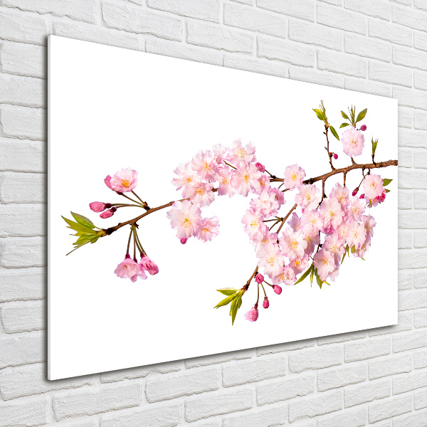 Foto auf Acryl Dornen