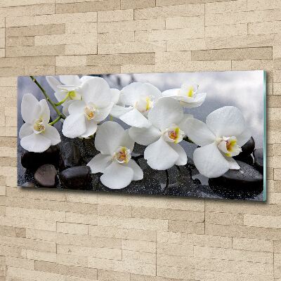 Foto auf Acryl Orchidee