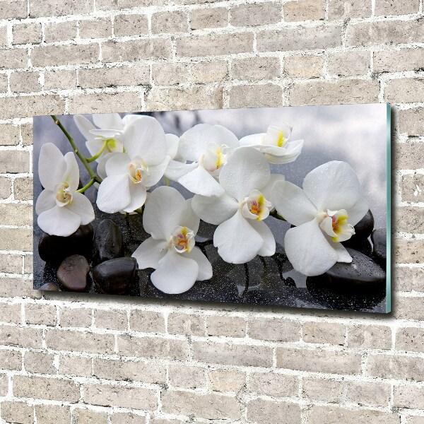 Foto auf Acryl Orchidee
