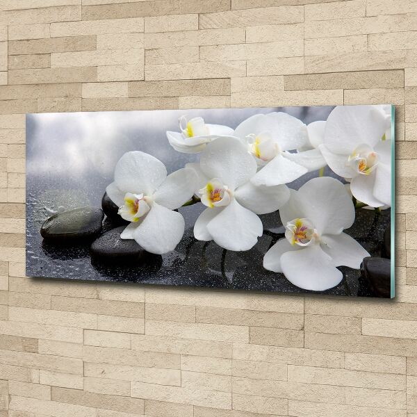 Acrylbild Fotodruck Orchidee
