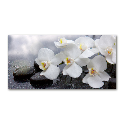 Acrylbild Fotodruck Orchidee