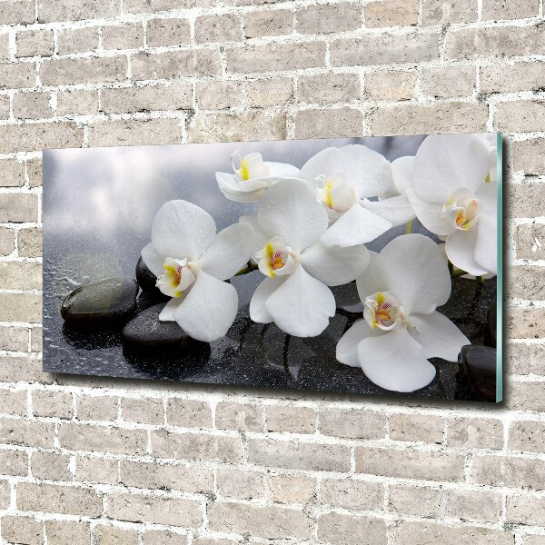 Acrylbild Fotodruck Orchidee