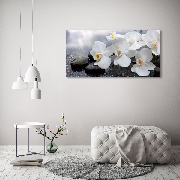 Acrylbild Fotodruck Orchidee