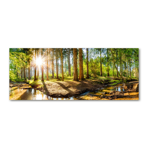 Acrylglas-Druck Panorama des Waldes